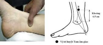 Công dụng của huyệt Tam âm giao