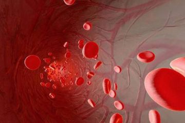 Cách “tắm sạch” huyết quản, ai làm được thì sống khỏe đến già!