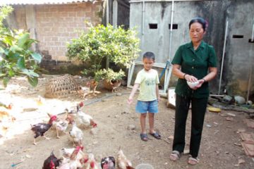 Cựu Thanh niên xung phong làm giàu trên quê hương, góp phần xây dựng hội vững mạnh