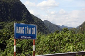 ĐỒI HOA TRẮNG