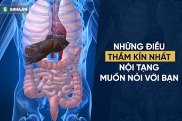Danh y chia sẻ cách “rửa sạch” nội tạng: Không chỉ tôi, tất cả chúng ta đều nên làm ngay!