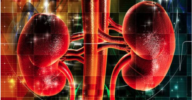 8 bí quyết dưỡng thận